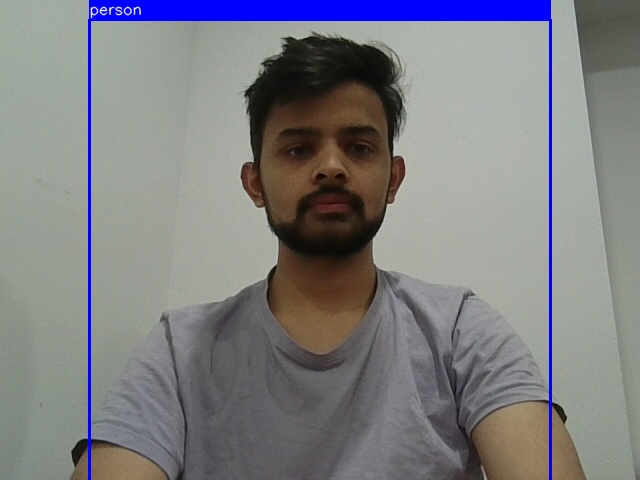 YOLO from scratch project preview